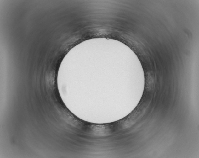 X0000110740230200907271108