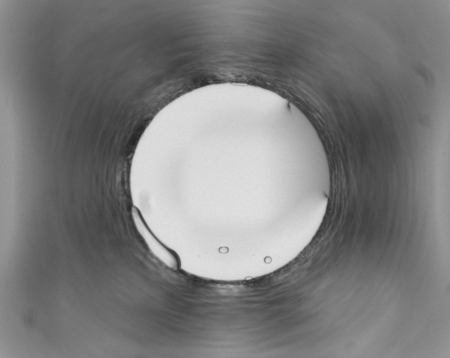 X0000110740233200907271108