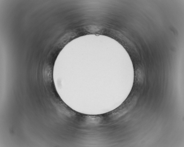 X0000110740234200907271108