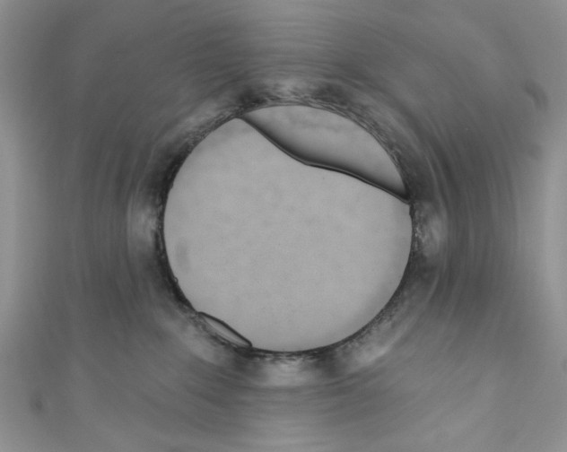 X0000110740235200907271108