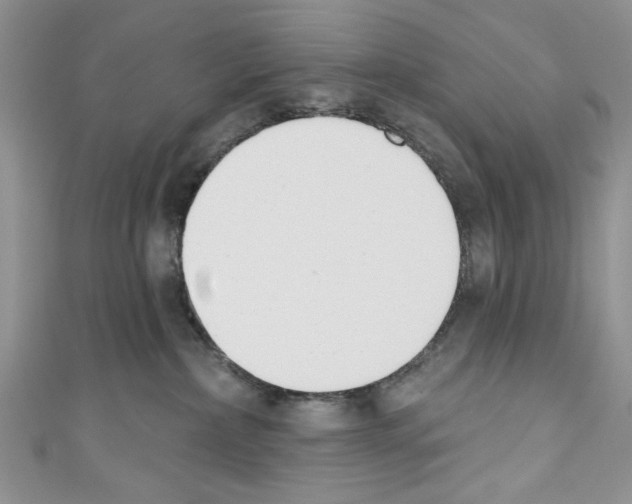 X0000110740236200907271108