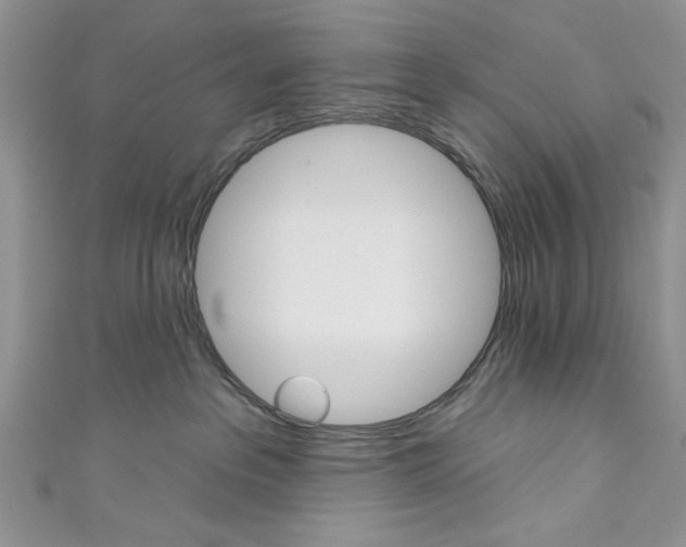 X0000110740237200907271108