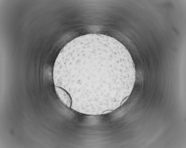 X0000110740238200907271108