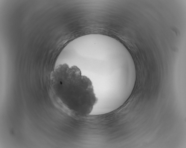 X0000110740240200907271108