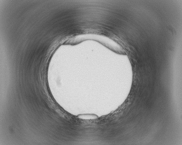 X0000110740241200907271107