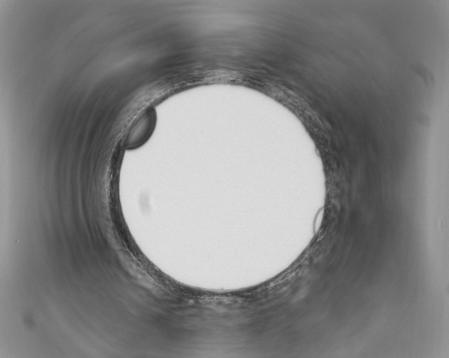 X0000110740242200907271107