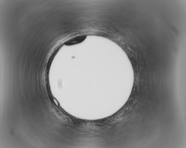 X0000110740244200907271107