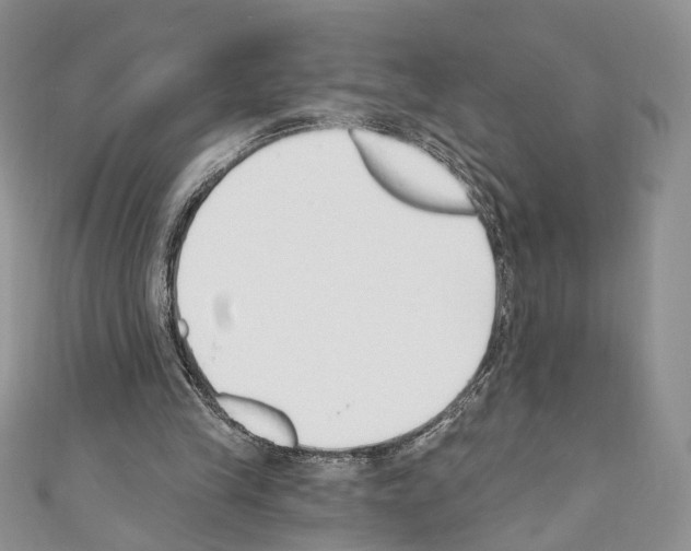 X0000110740245200907271108