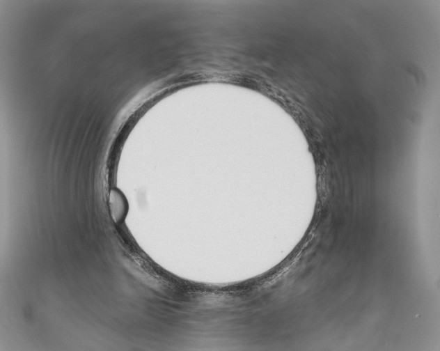X0000110740246200907271108