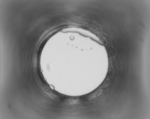 X0000110740247200907271108