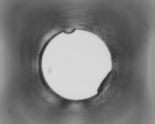 X0000110740248200907271108