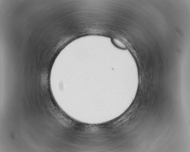 X0000110740249200907271108