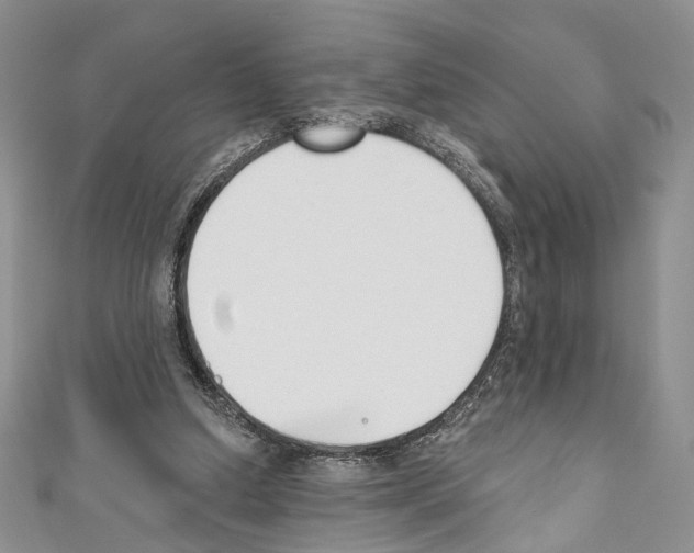 X0000110740250200907271108