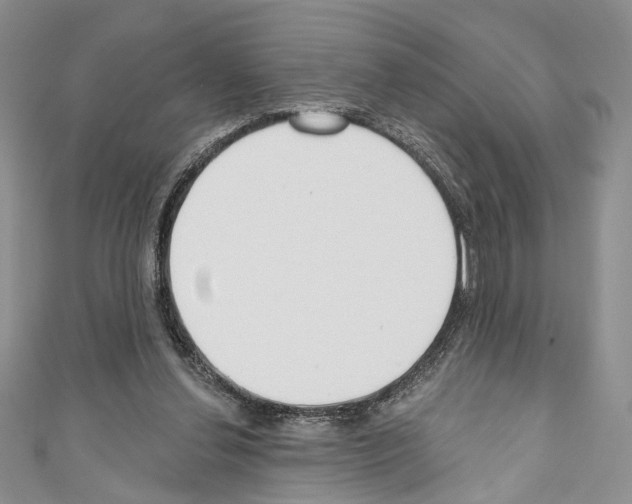 X0000110740252200907271108