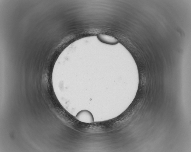X0000110740256200907271108