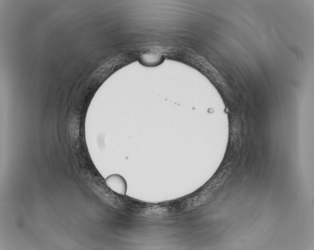 X0000110740257200907271108