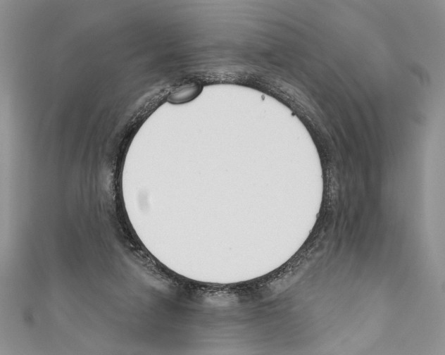 X0000110740258200907271108