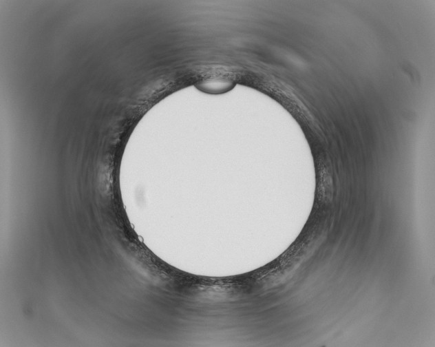 X0000110740259200907271108