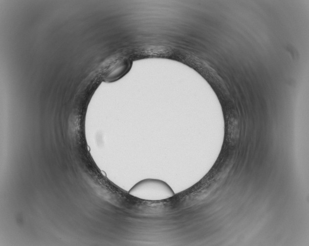 X0000110740260200907271108