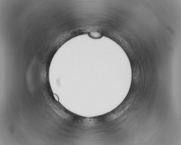 X0000110740261200907271108