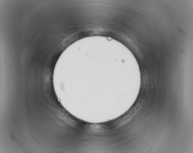 X0000110740265200907271108