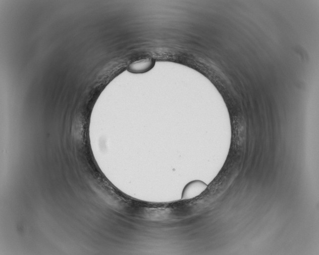 X0000110740266200907271108