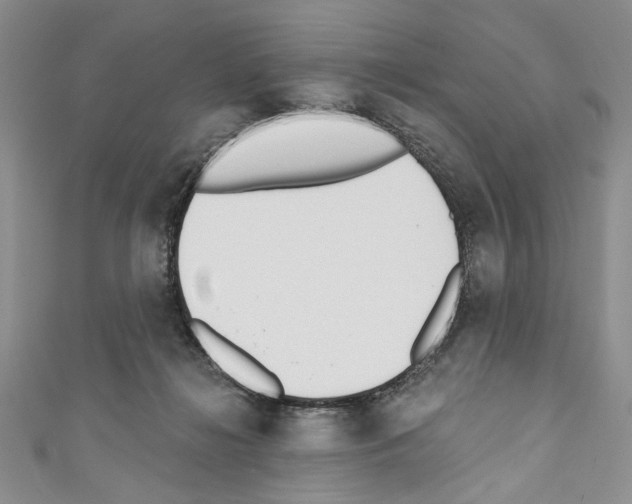X0000110740268200907271108