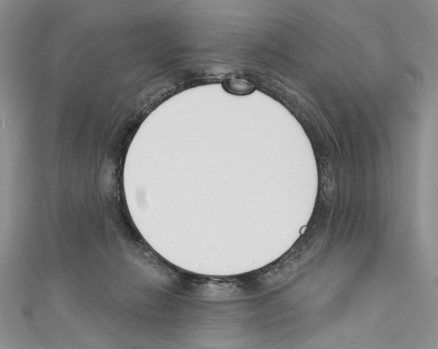 X0000110740270200907271108