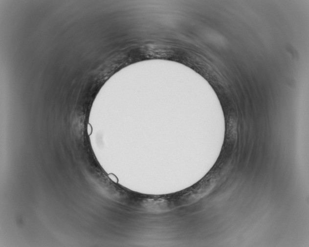 X0000110740271200907271108