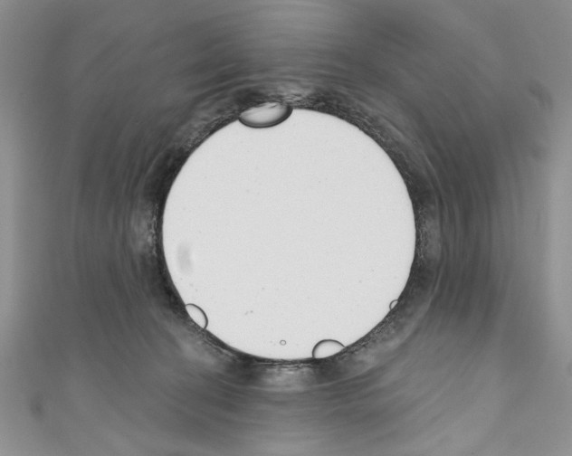 X0000110740274200907271108