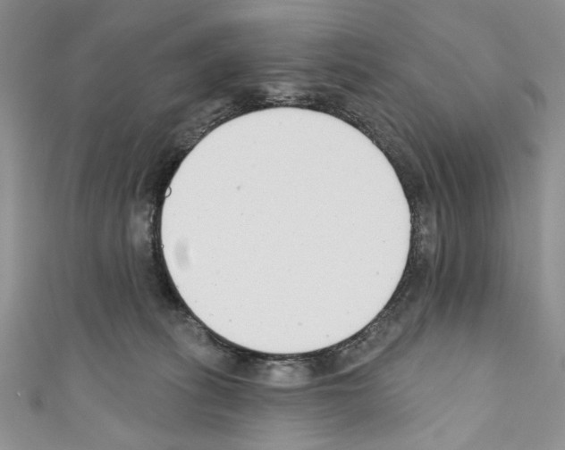X0000110740275200907271108