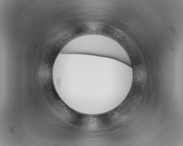 X0000110740276200907271108