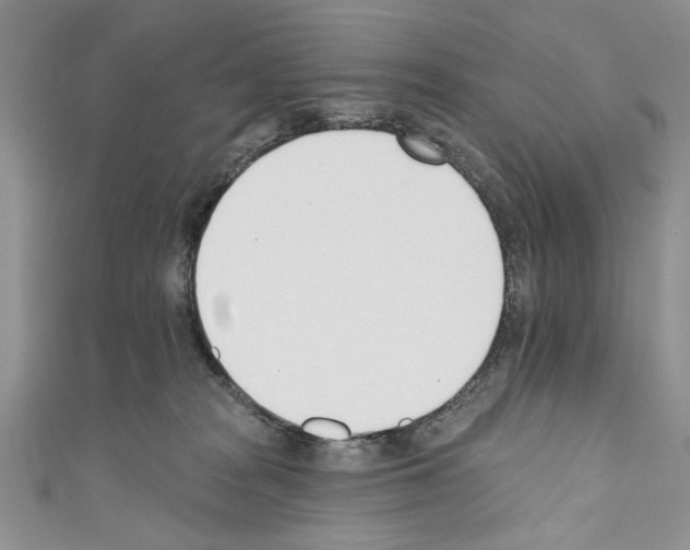 X0000110740277200907271108