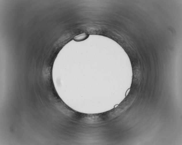 X0000110740278200907271108