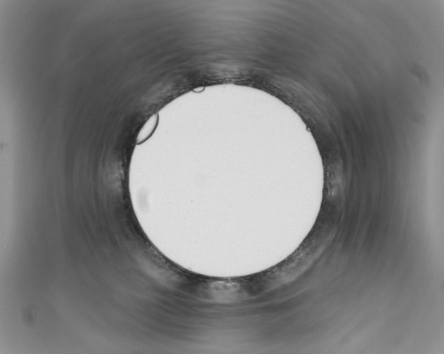 X0000110740279200907271108