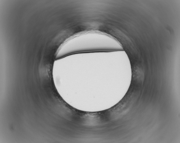X0000110740280200907271108