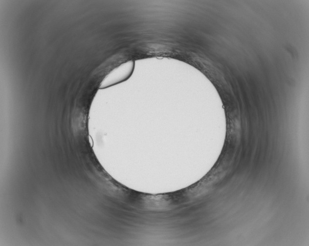 X0000110740281200907271108