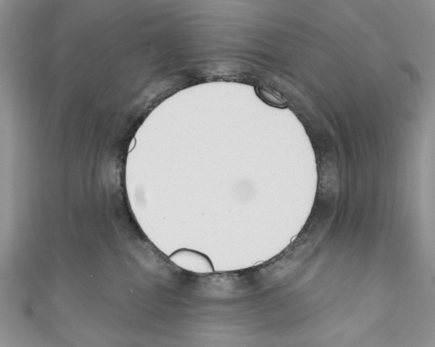 X0000110740282200907271108