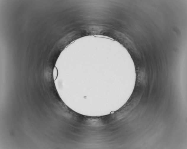 X0000110740283200907271108