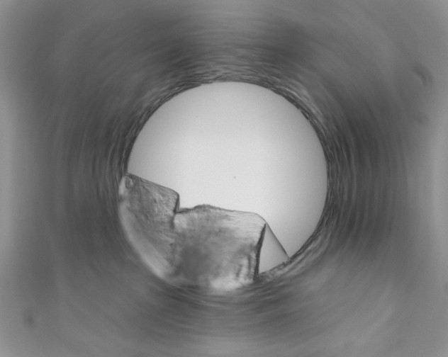 X0000110740285200907271108