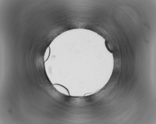 X0000110740286200907271108