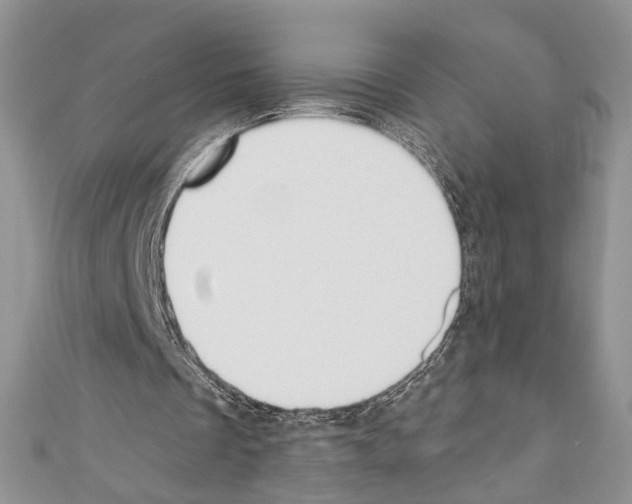 X0000110740289200907271107