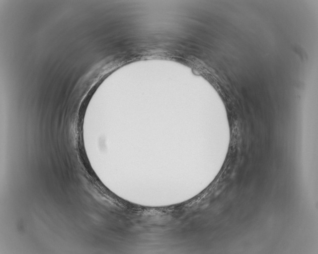 X0000110740290200907271107