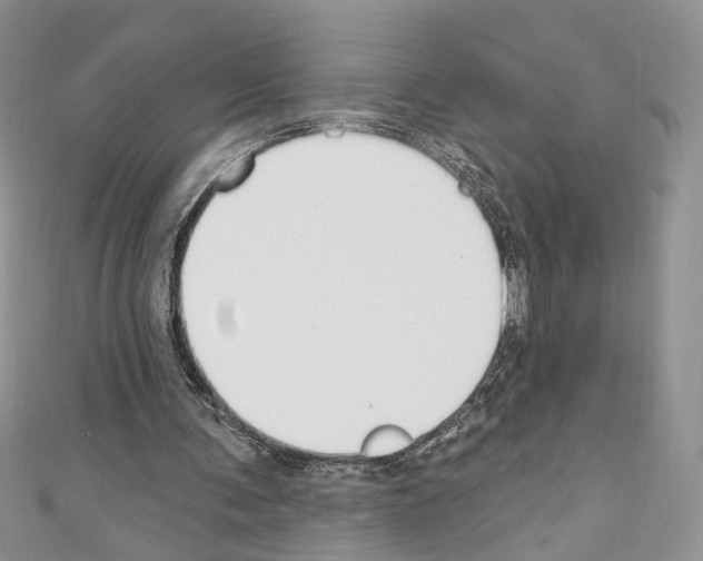 X0000110740291200907271107