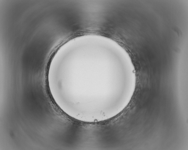 X0000110740293200907271107