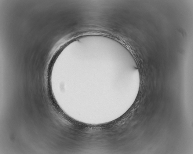 X0000110740296200907271107