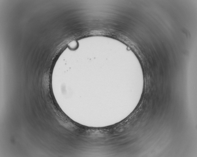 X0000110740297200907271107