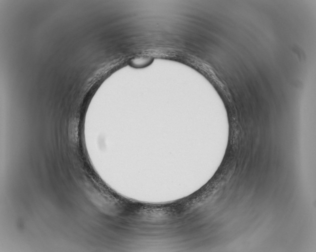 X0000110740299200907271107