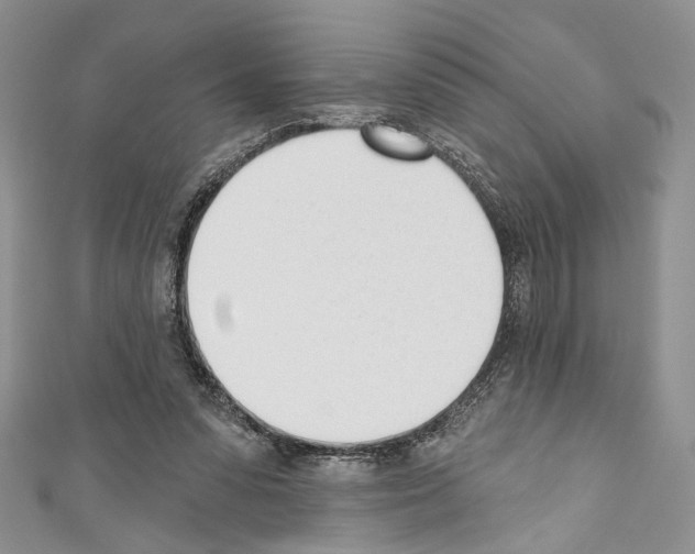 X0000110740303200907271107