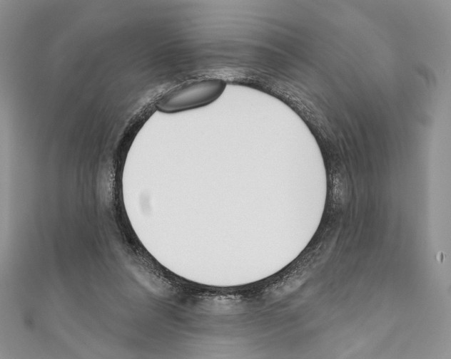 X0000110740304200907271107